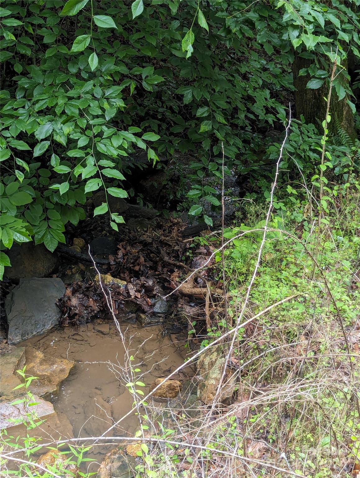 Riverbend Highlands - Land