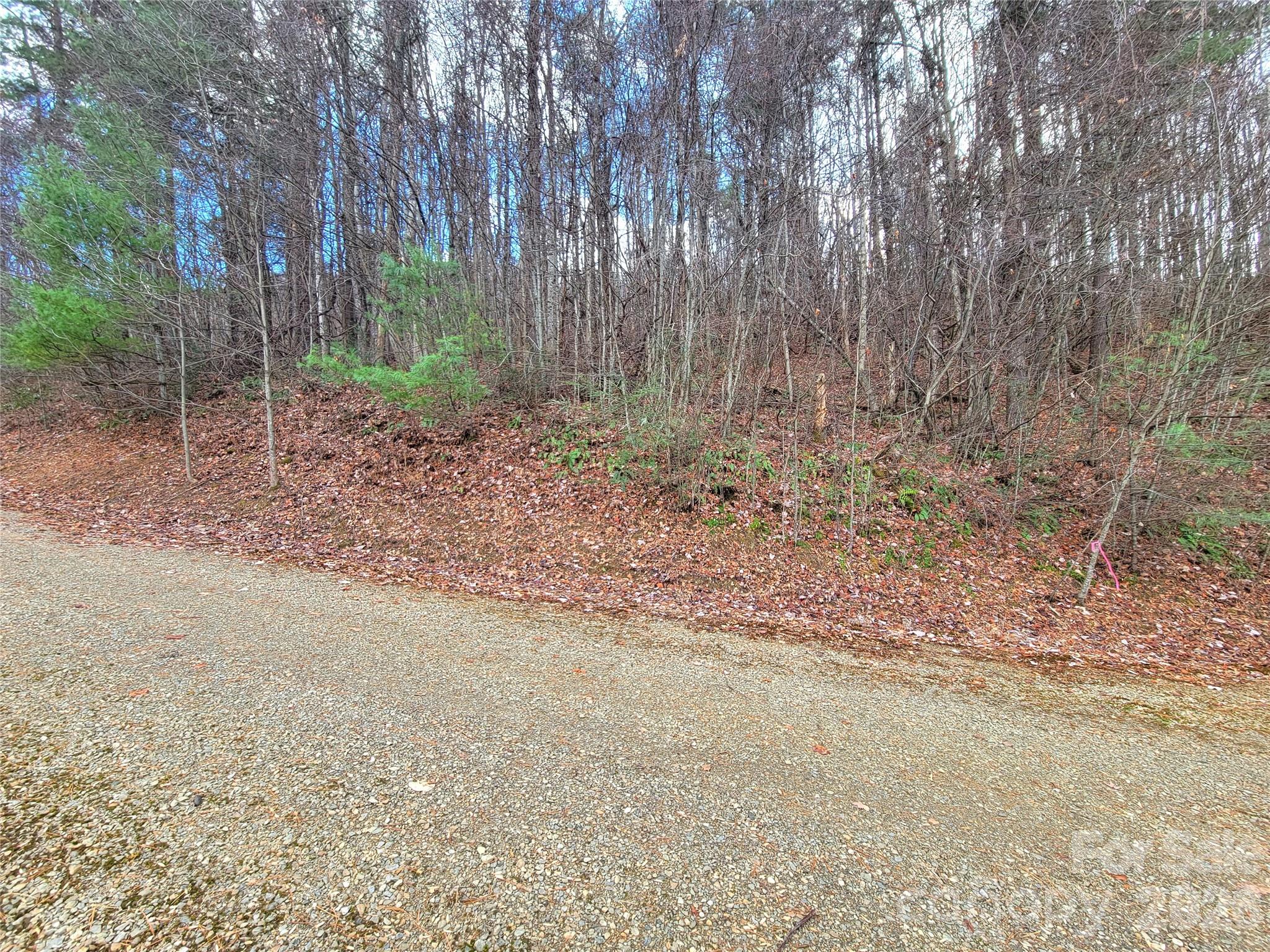 125 Lasso Lane 304