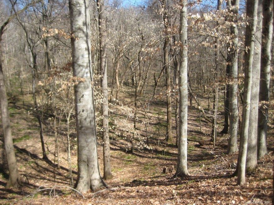 50+/- AC available. Mature trees, Total tract (400 AC) has 6200 +/- feet of paved road frontage, small creek and more...! Horses permitted. Located across from the entrance to Landsford Canal State Park...Home of the Rocky Shoals Spider Lilies!Go to www.southcarolinaparks.com to check out the annual Rocky Shoals Spider Lilies Festival.