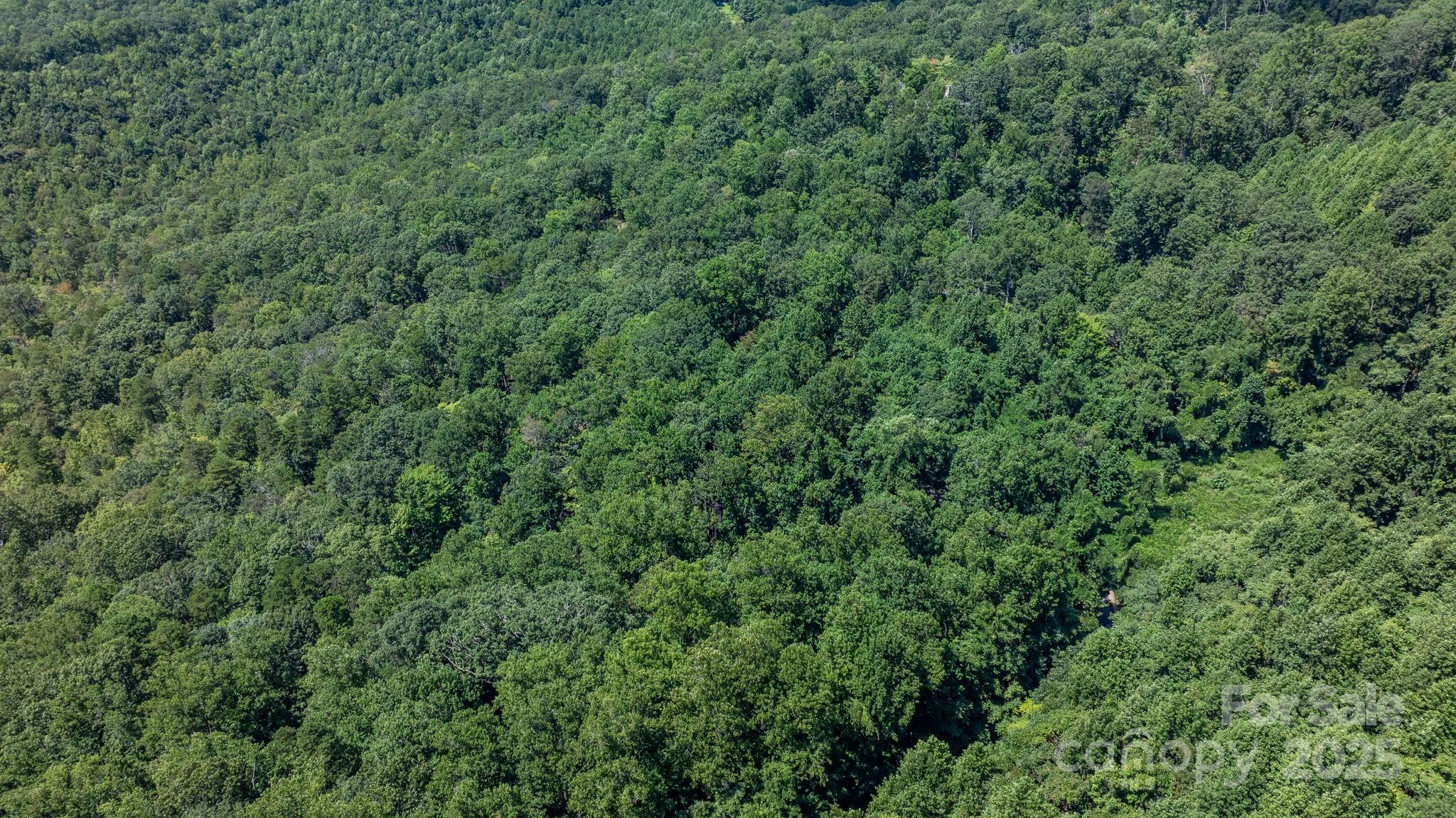 Grants Mountain - Land