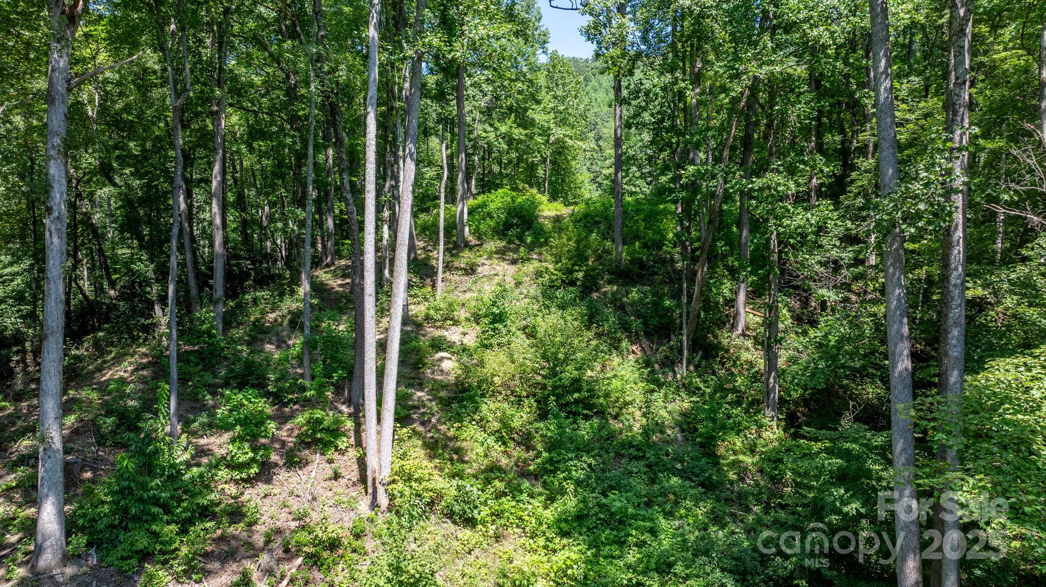 Grants Mountain - Land