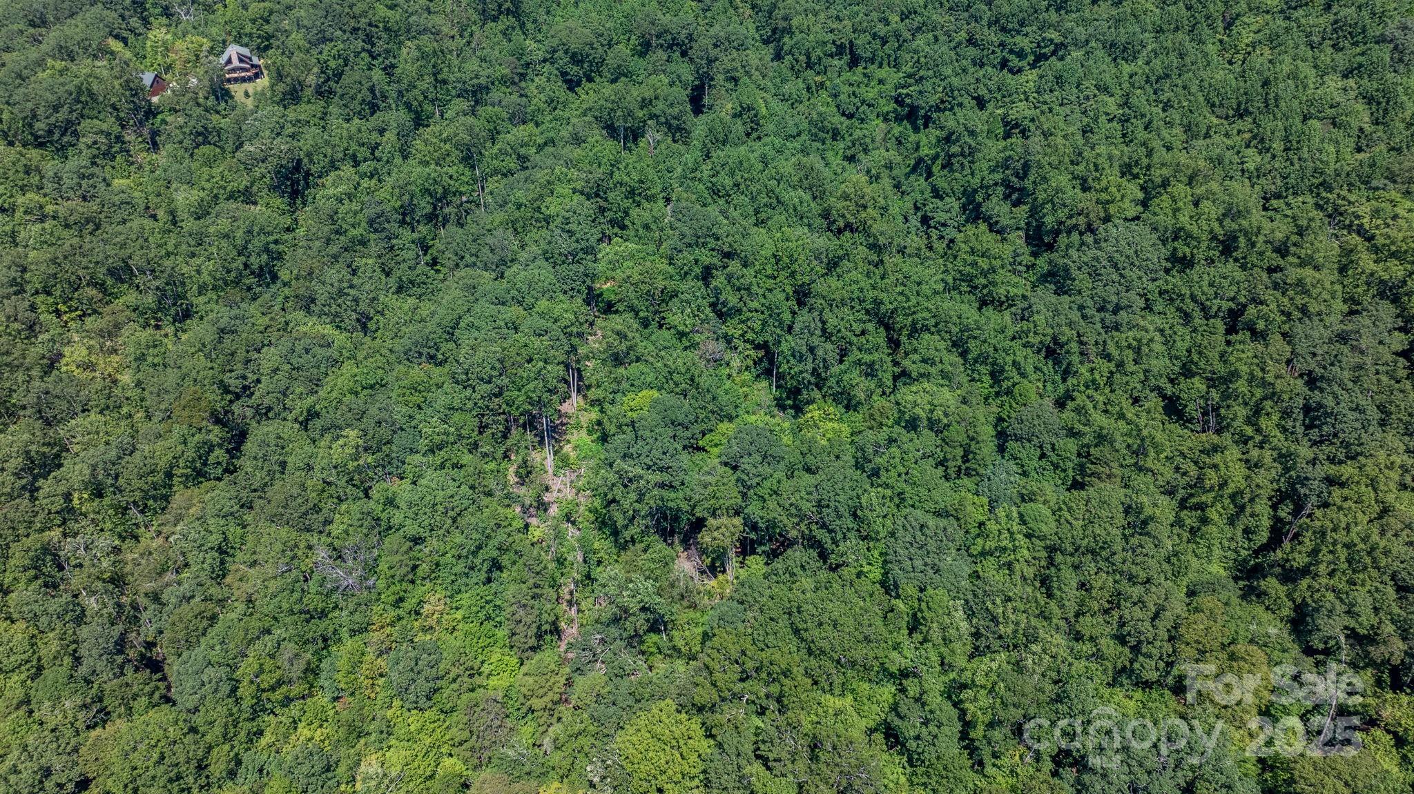 Grants Mountain - Land