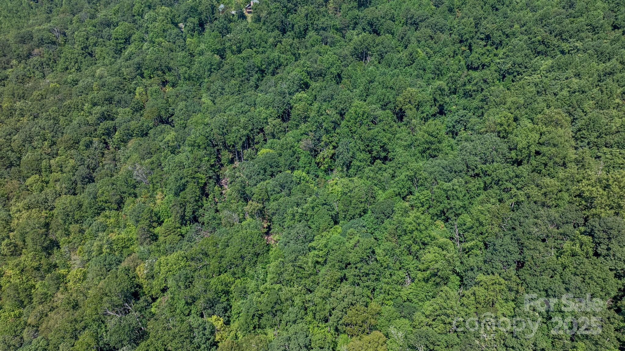 Grants Mountain - Land