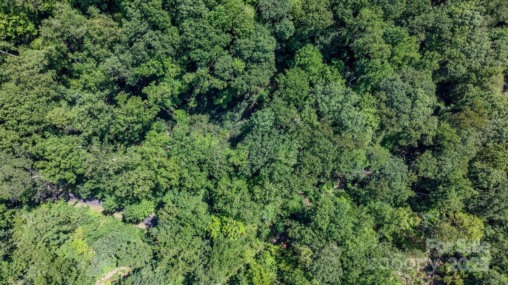 Grants Mountain - Land