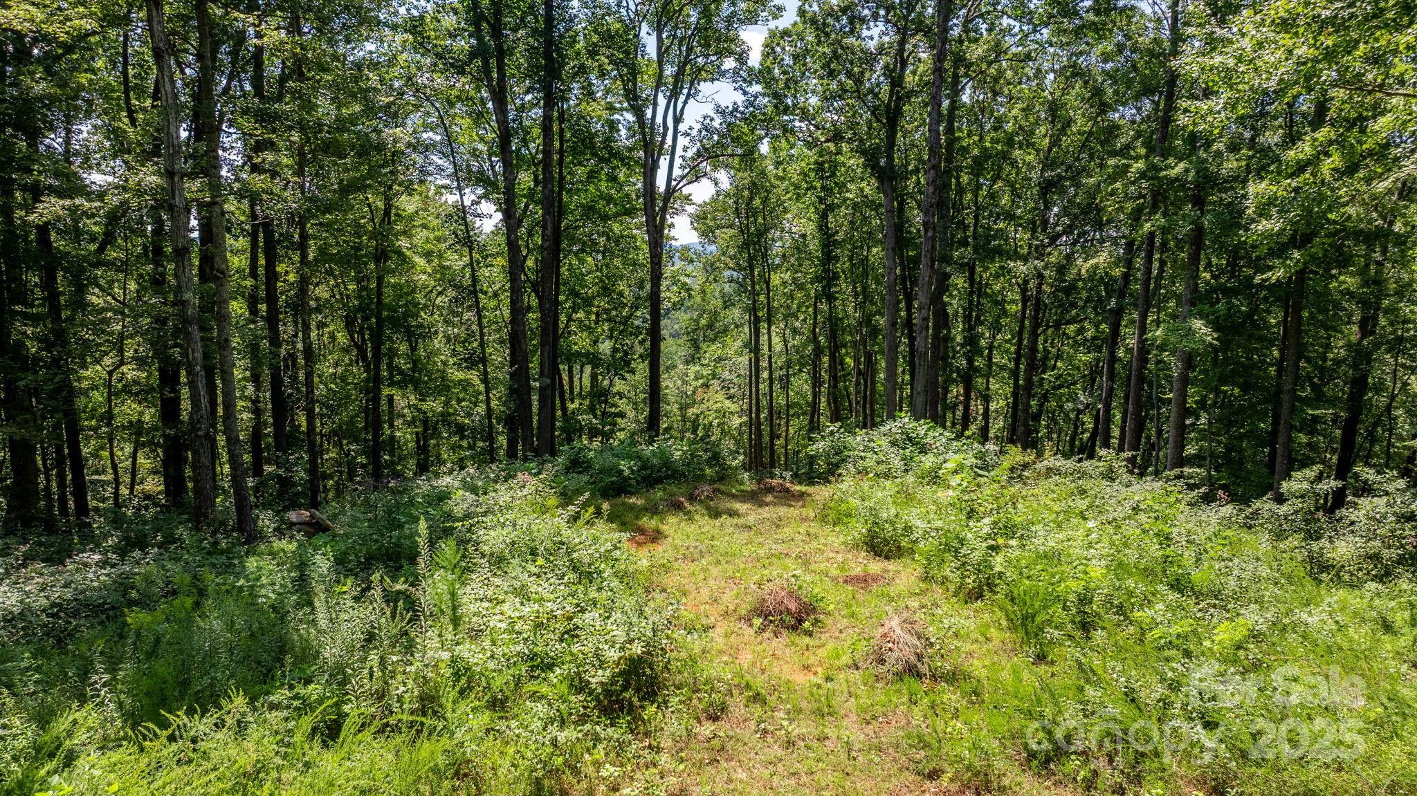 Grants Mountain - Land