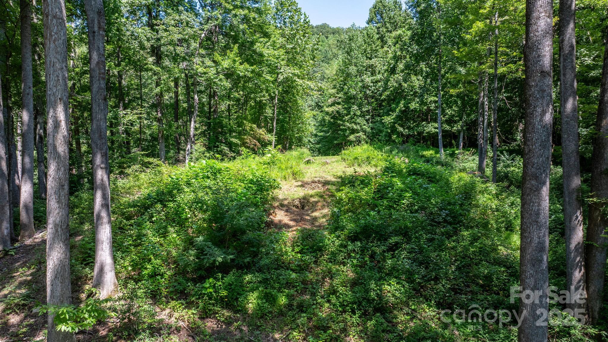 Grants Mountain - Land