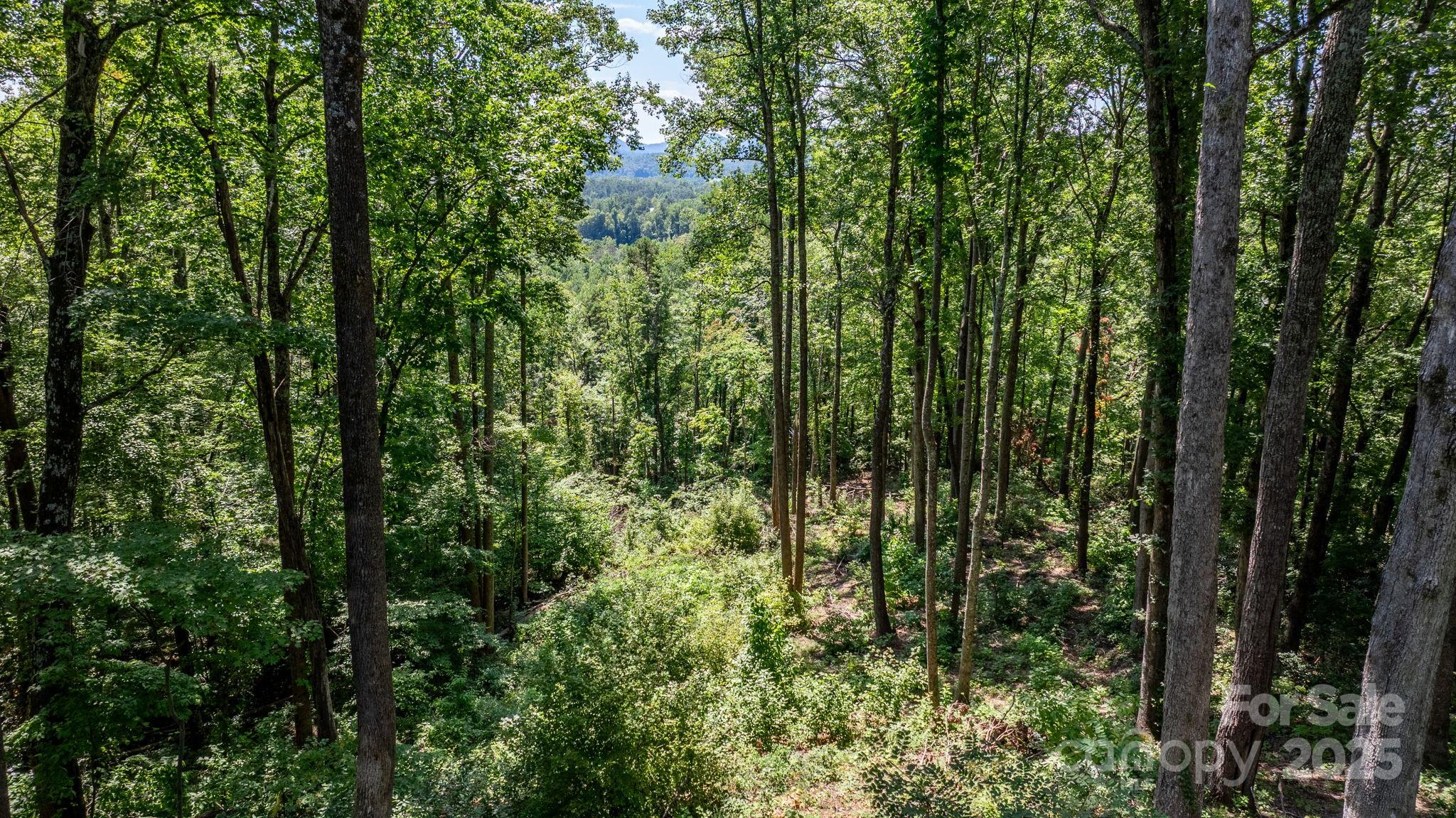 Grants Mountain - Land