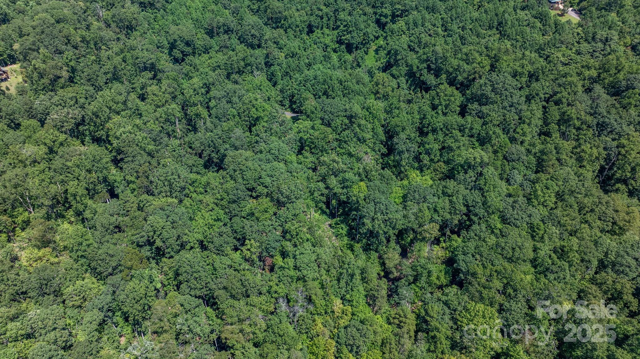 Grants Mountain - Land