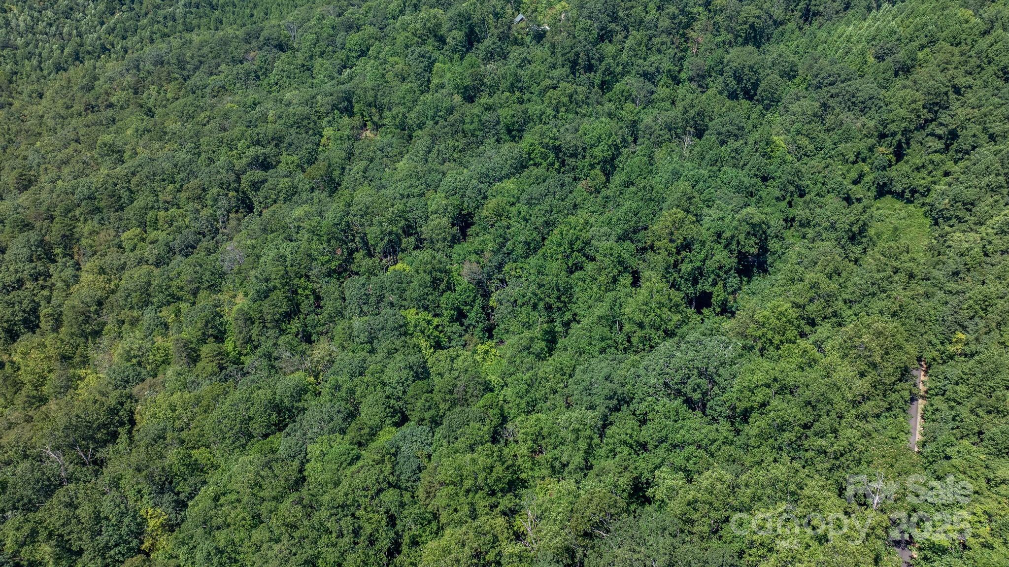 Grants Mountain - Land