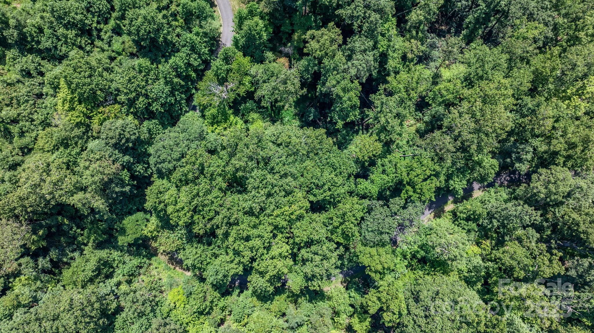 Grants Mountain - Land