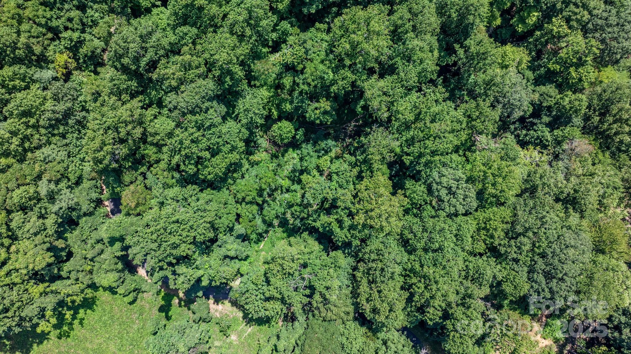 Grants Mountain - Land