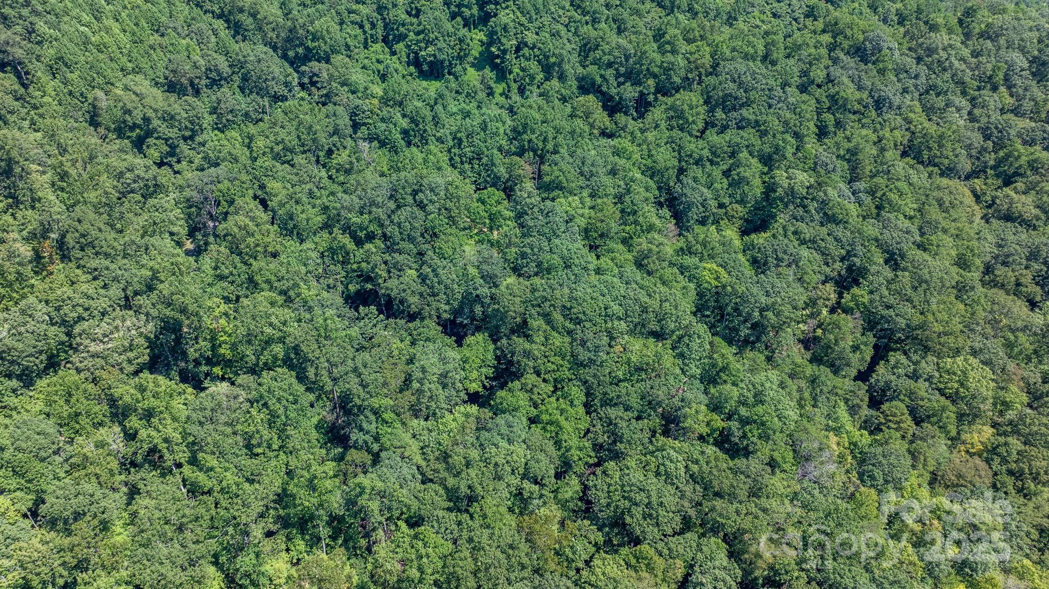 Grants Mountain - Land