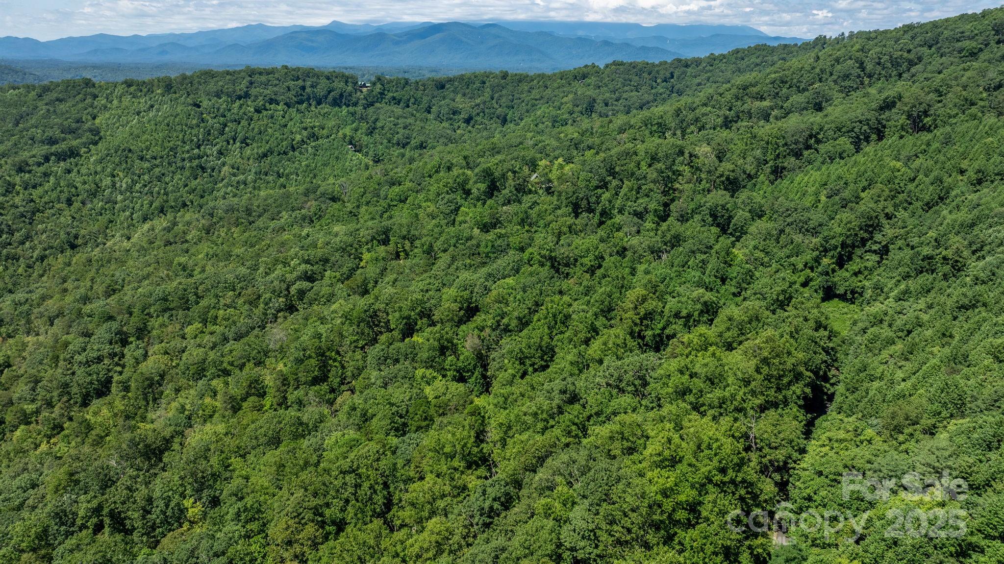 Grants Mountain - Land