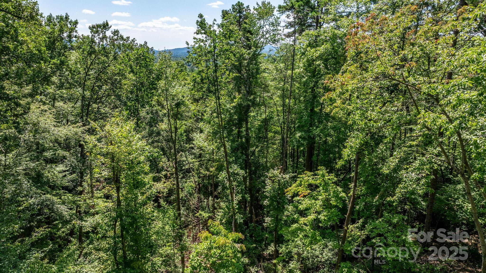 Grants Mountain - Land