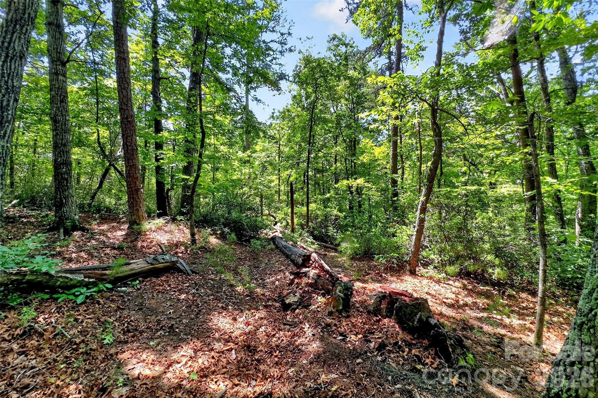 000 Buffalo Shoals Road