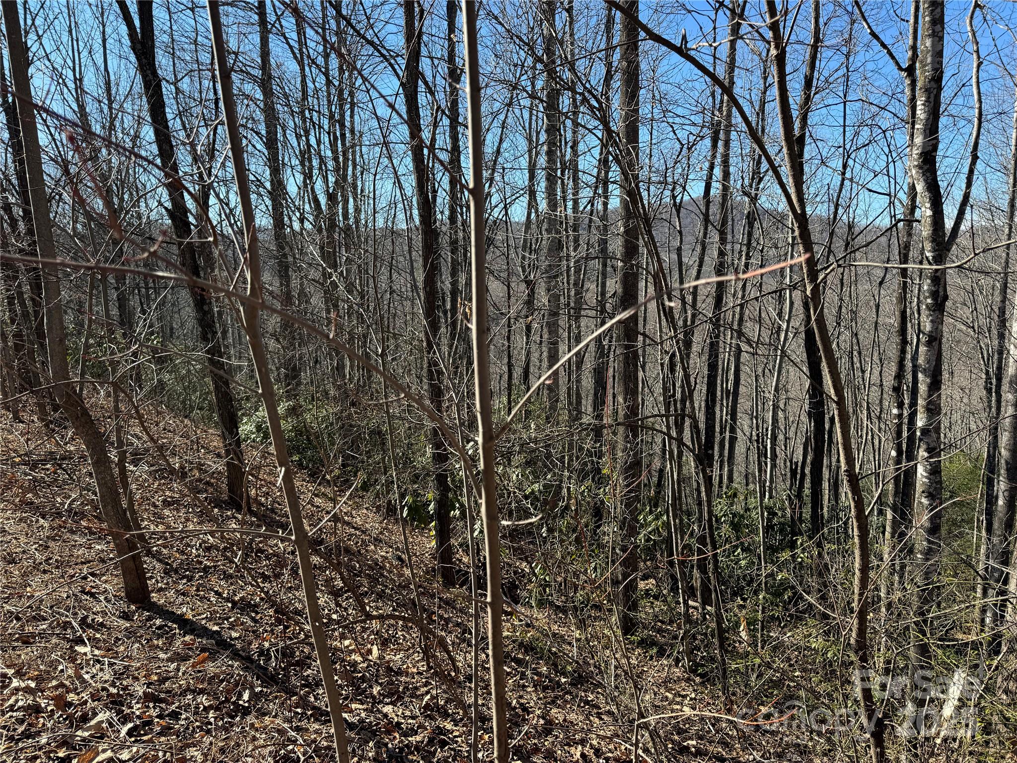 239 Fuji Falls Trail 138