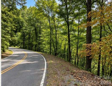 119 PRICE RD, MORAVIAN FALLS, NC 28654 - Image d3cdfc3ff1d1d057155fa409e6648c88/344736089