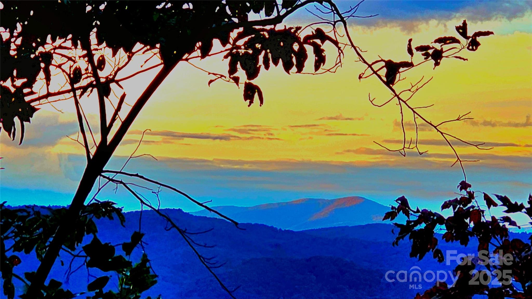 New Forest Mountain - Land