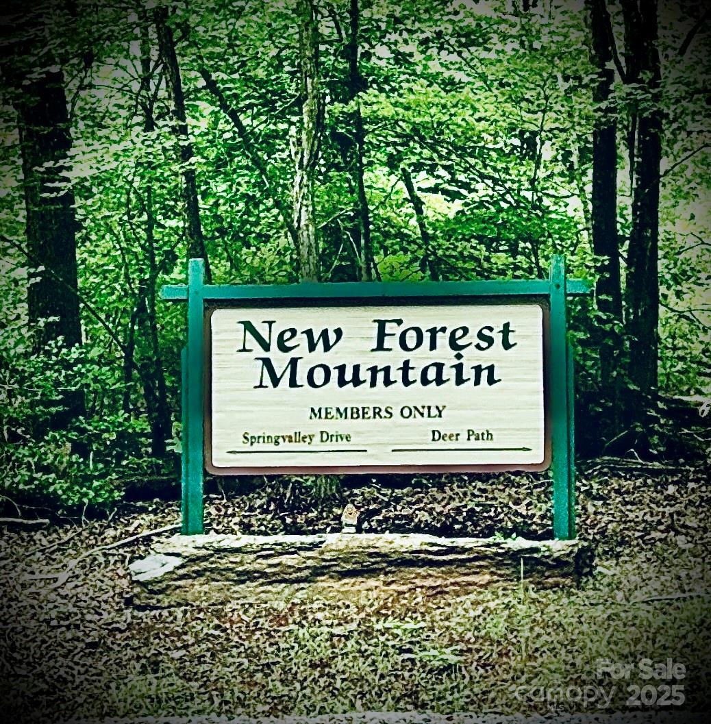 New Forest Mountain - Land