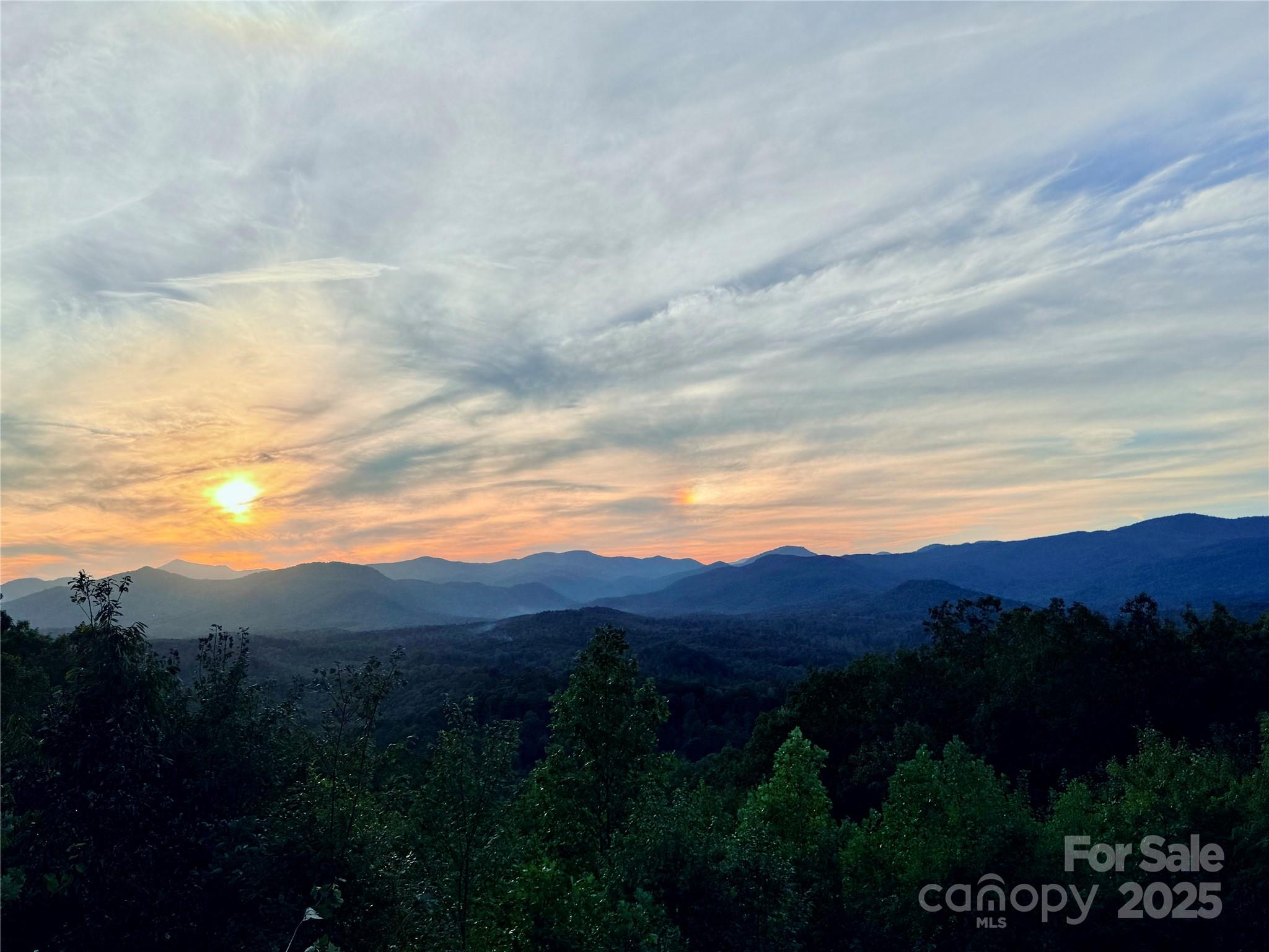 New Forest Mountain - Land