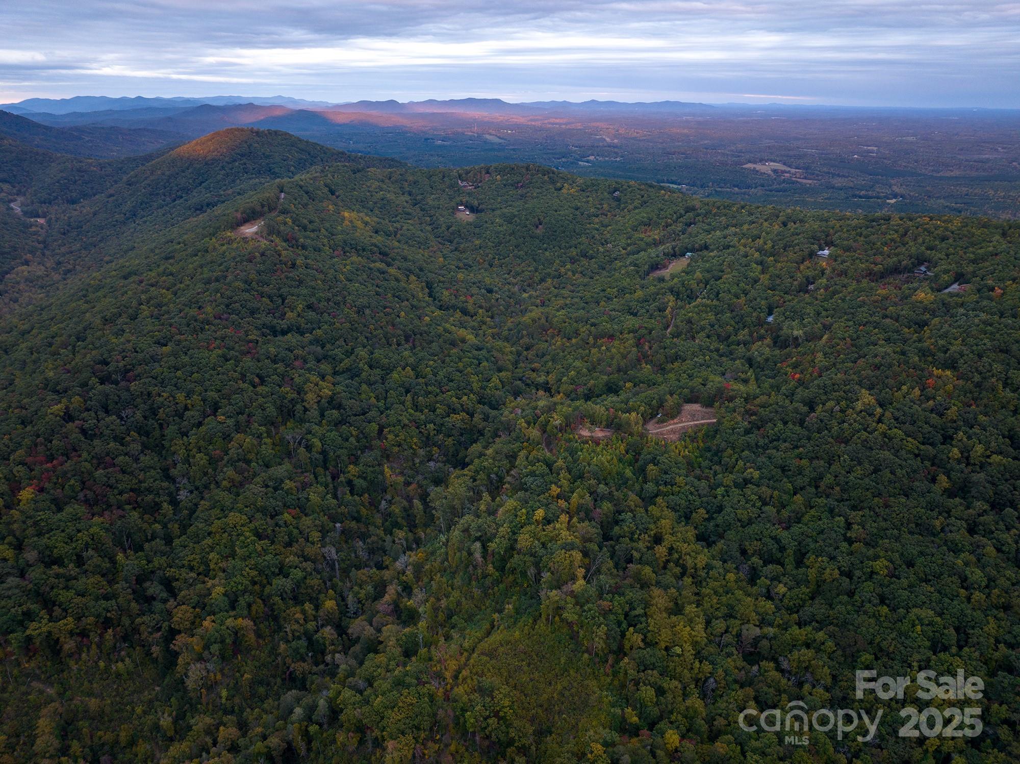 New Forest Mountain - Land