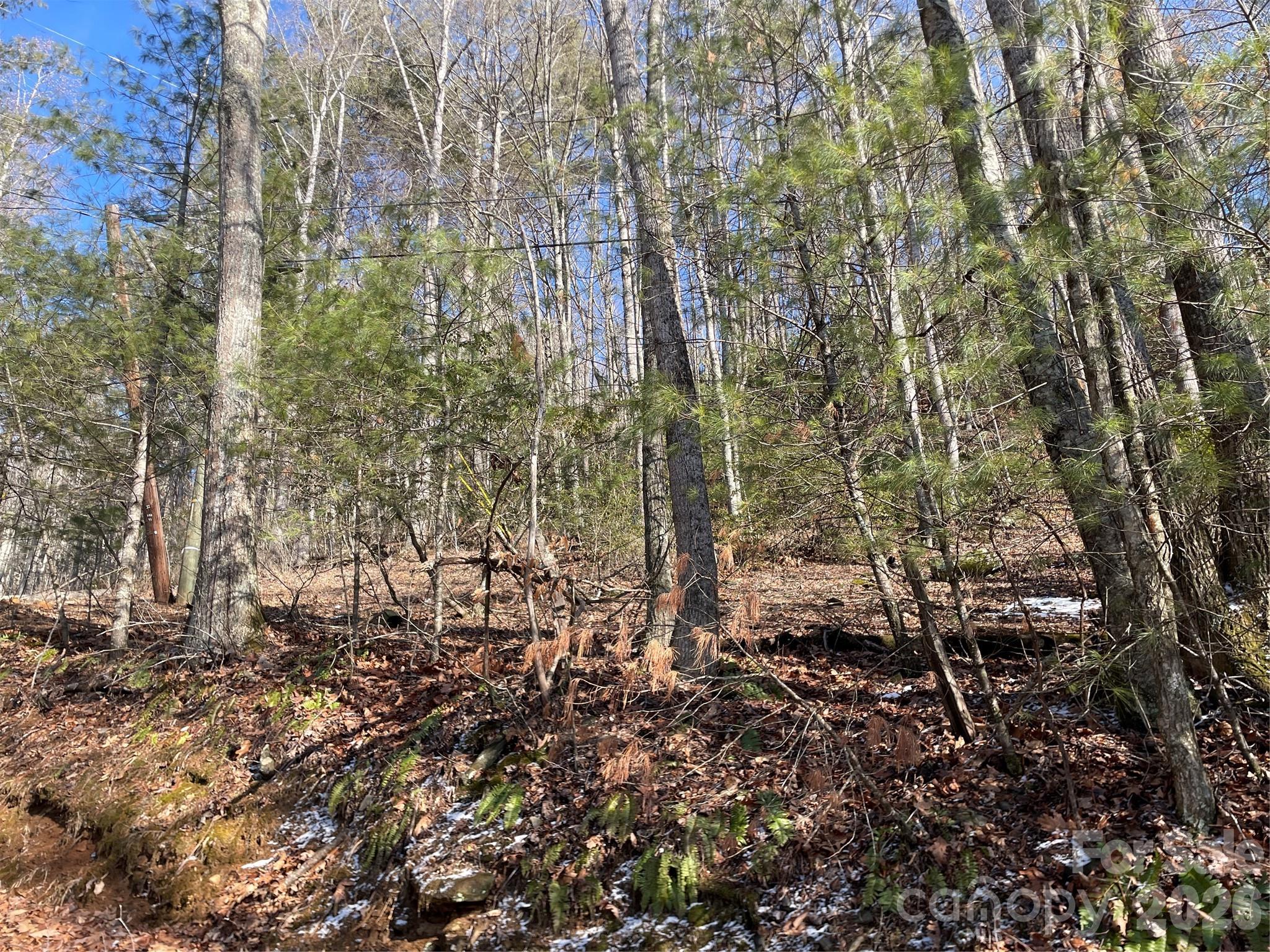 639 Conley Ridge Road