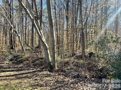 Photo of 02 Lurecliff Place, Fort Mill, SC 29708 (MLS # 4376255)