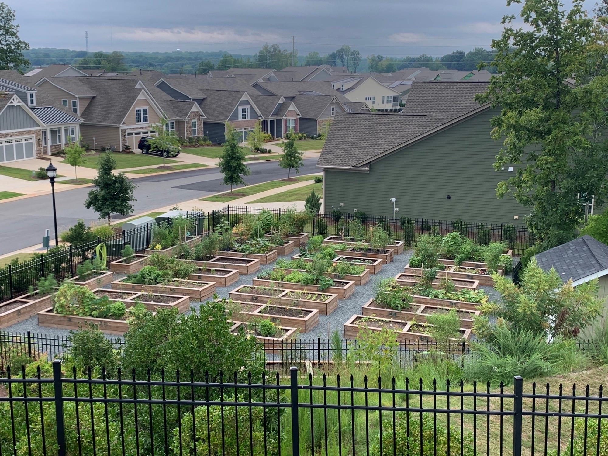 Cresswind - Residential