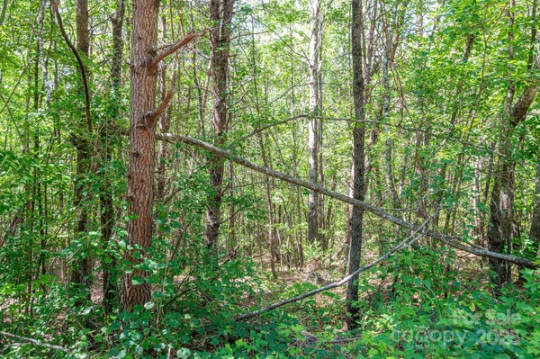 LOT #13 MEADOW CROSSING DRIVE, RUTHERFORDTON, NC 28139 - Image d3ea38fdf9cedb834835651c28c4cb7e/4185242993