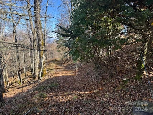 962 Lookout Drive