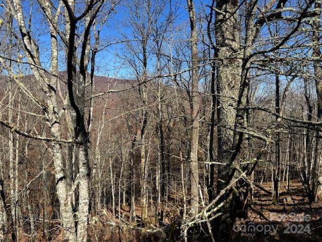 962 Lookout Drive