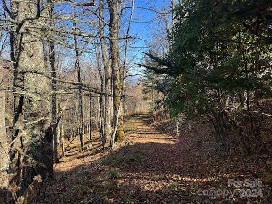 This lot is just inches off paved road for easy year round access at more than 4,000 FT elevation. It offers good privacy, walking distance to country club and fitness center.  Long range, year round views are possible with proper tree trimming as determined by WLRMS, and a roughed in driveway.  Close to ski slopes and year round amenities. Community water system is in place.  Non brokers must be accompanied for sec gate. Most amenities require voluntary, paid memberships.