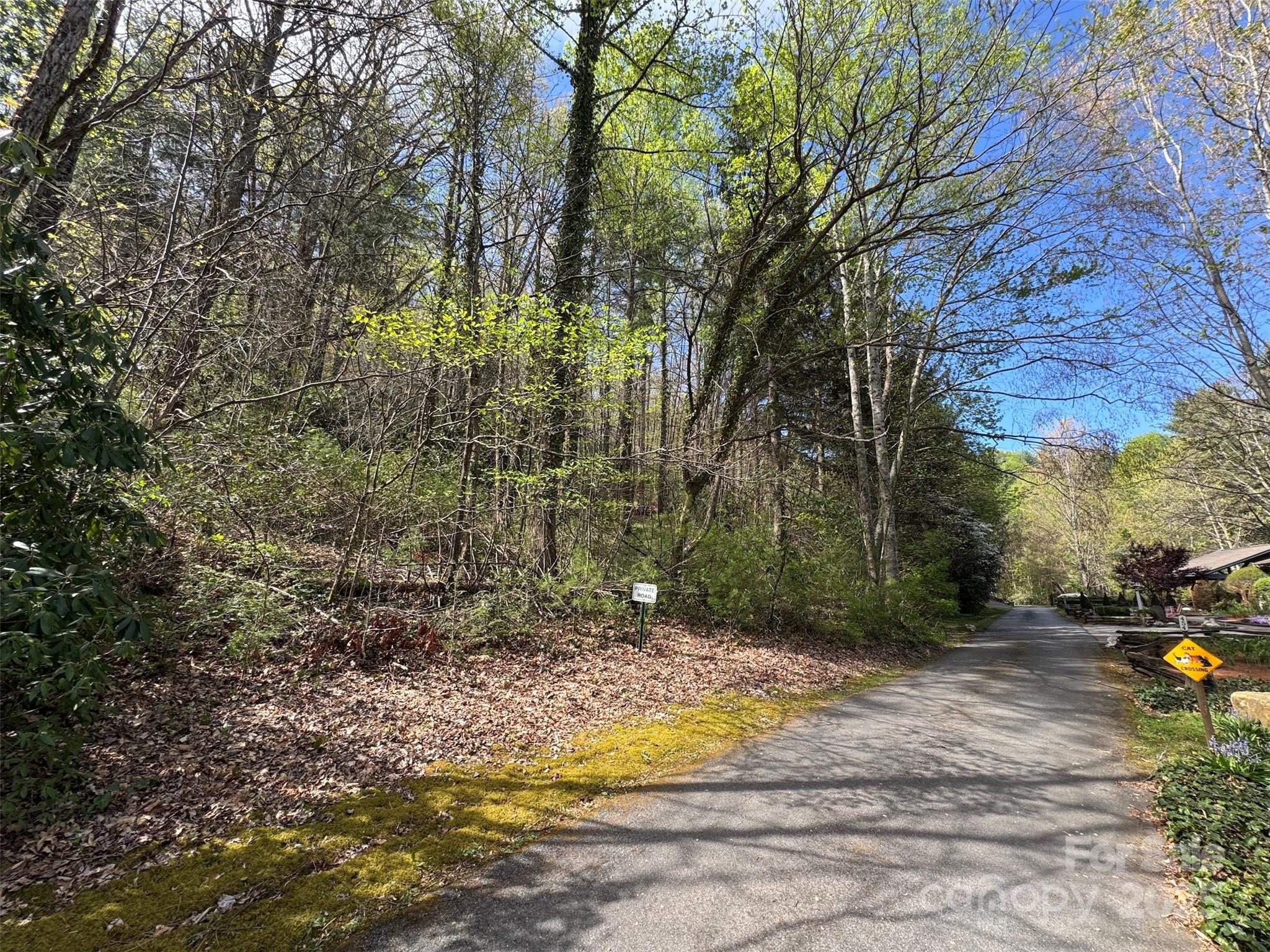 TBD (C) Chestnut Walk Drive