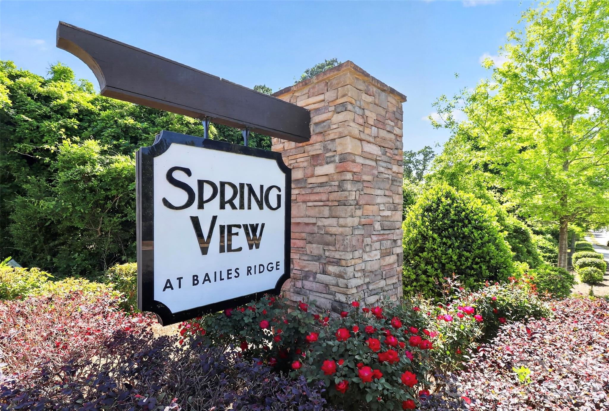 Springview At Bailes Ridge - Residential