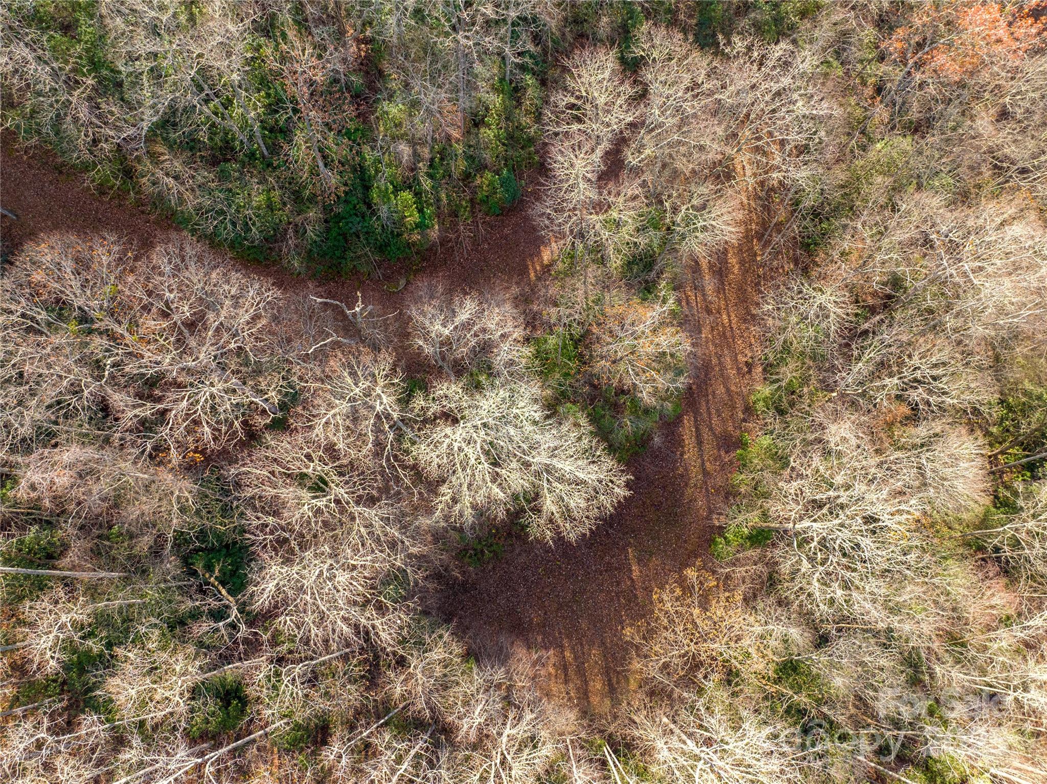 Brush Creek Properties - Land