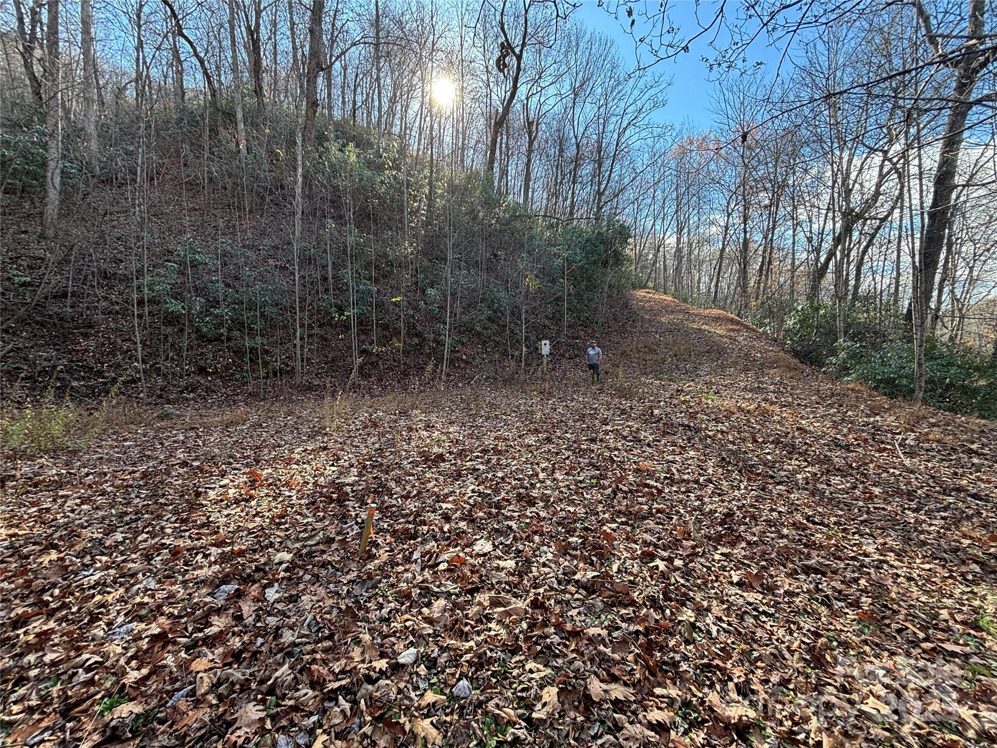 Brush Creek Properties - Land