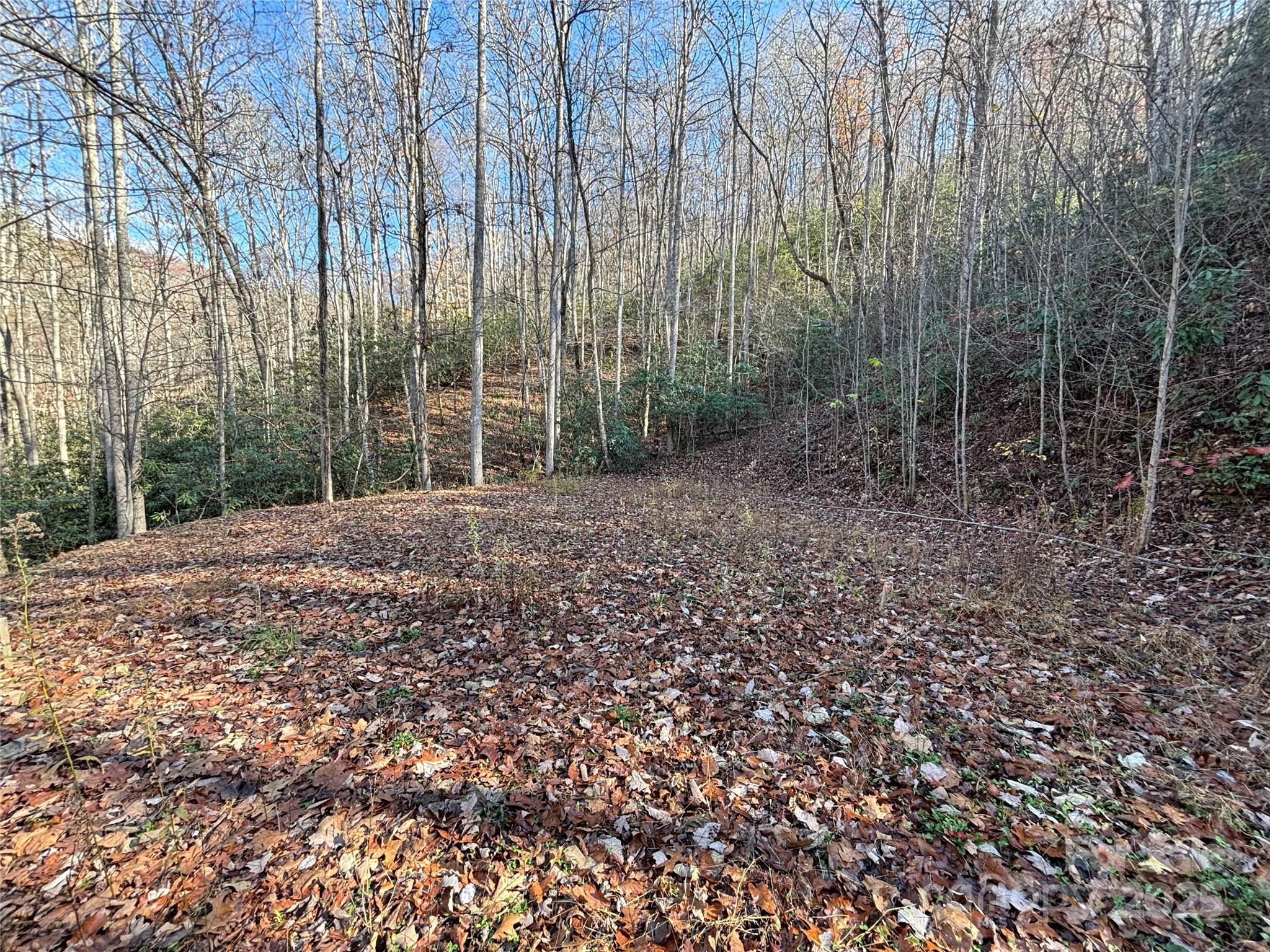 Brush Creek Properties - Land