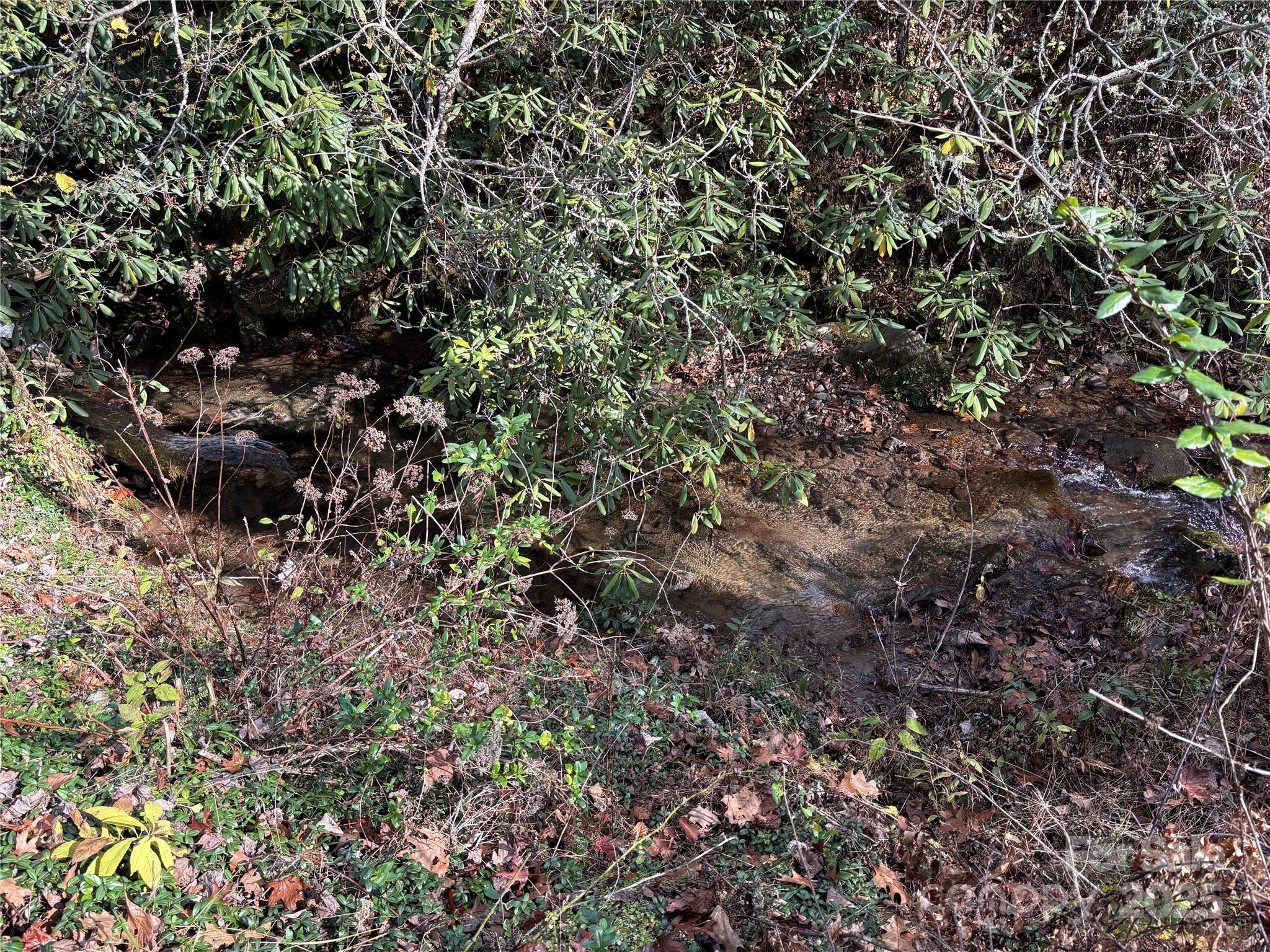 Brush Creek Properties - Land