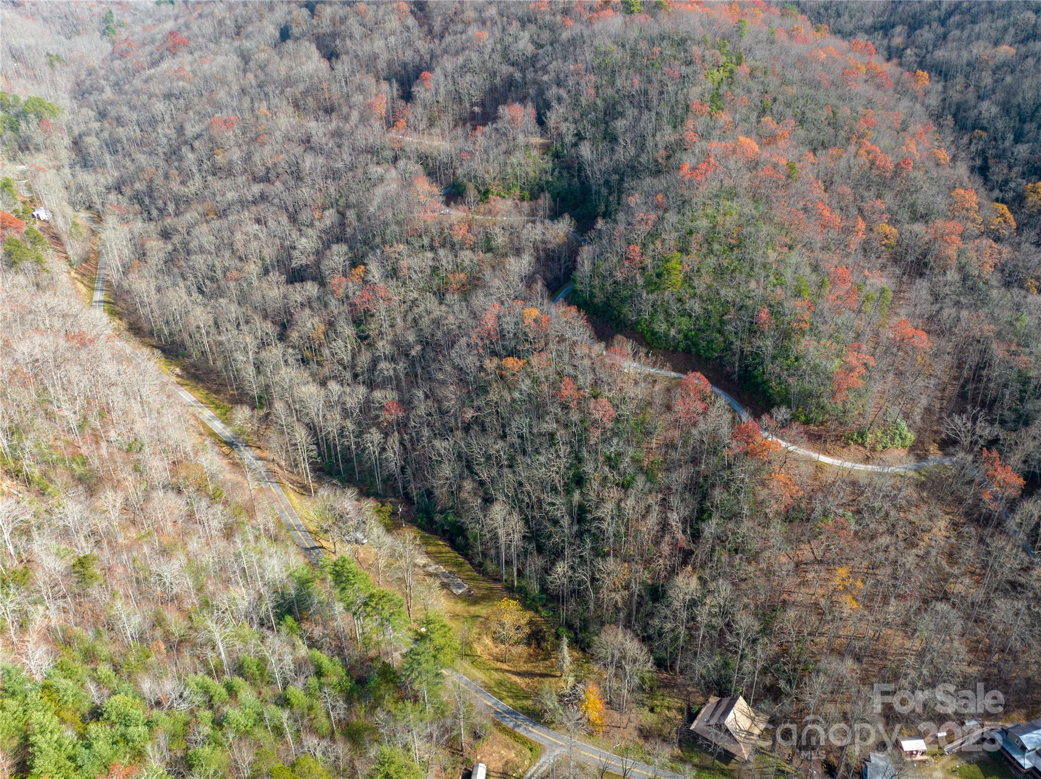 Brush Creek Properties - Land