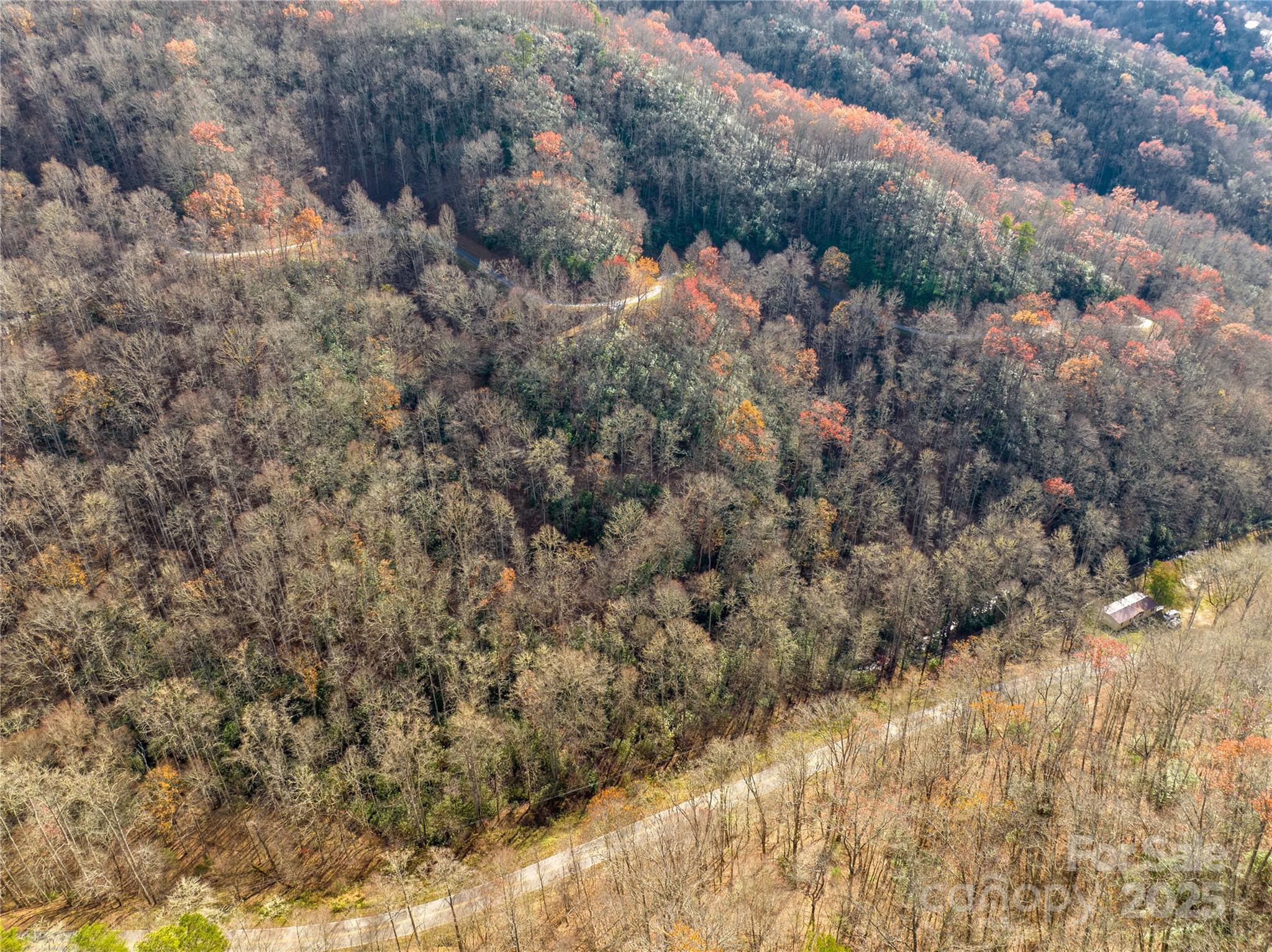 Brush Creek Properties - Land