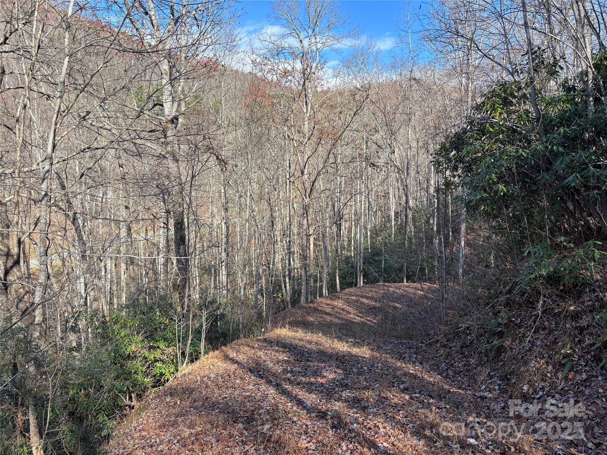 Brush Creek Properties - Land