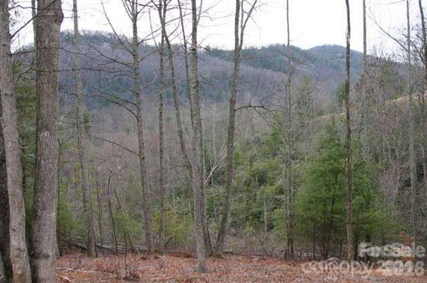 Great homesite with nearly 3 acres in the Silverglen Development. Located between Hendersonville and Lake Lure, this homesite has a great location to both the lake and the city. The lot offers a great opportunity for your getaway mountain retreat or permanent residence. Come see this amazing and affordable homesite today with mountain views.