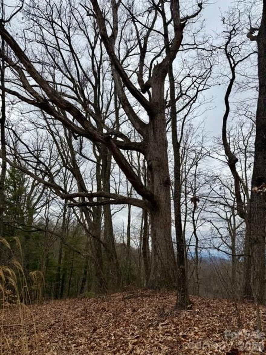 Come build your mountain home on this beautiful and spacious lot with beautiful long range winter views in the peaceful community of Seven Glens. Nature abounds in this quiet, private development. Each season highlights the beauty and grace of the mountains and surrounding area. A gentle driveway is already cut in, build on the ridge for potential year round views or just surround yourself with beautiful mature hardwoods. 15 minutes to Weaverville and Mars Hill, 25 minutes to downtown Asheville.