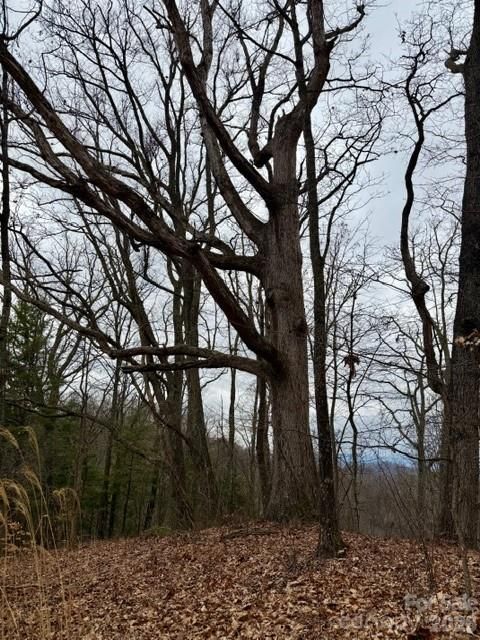 201 Glen Valley Drive Weaverville NC 28787