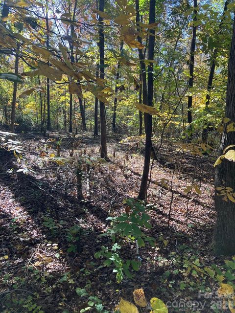 Photo of 0 Poplar Lane Road, Albemarle, NC 28001 (MLS # 4363049)