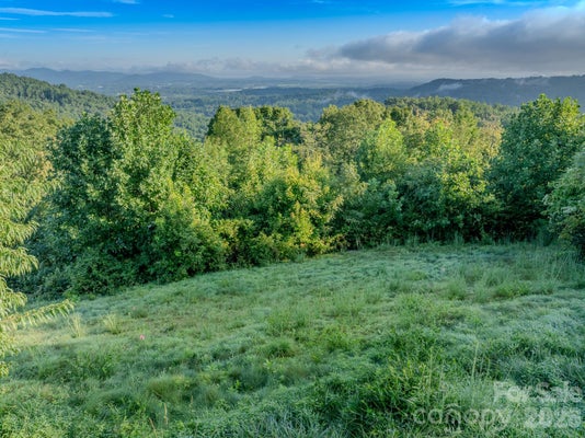 177 SKYDANCE TRL, HENDERSONVILLE, NC 28739 - Image d422495cd6cf36b9bc2ed0b8ed2e509c/3431469744
