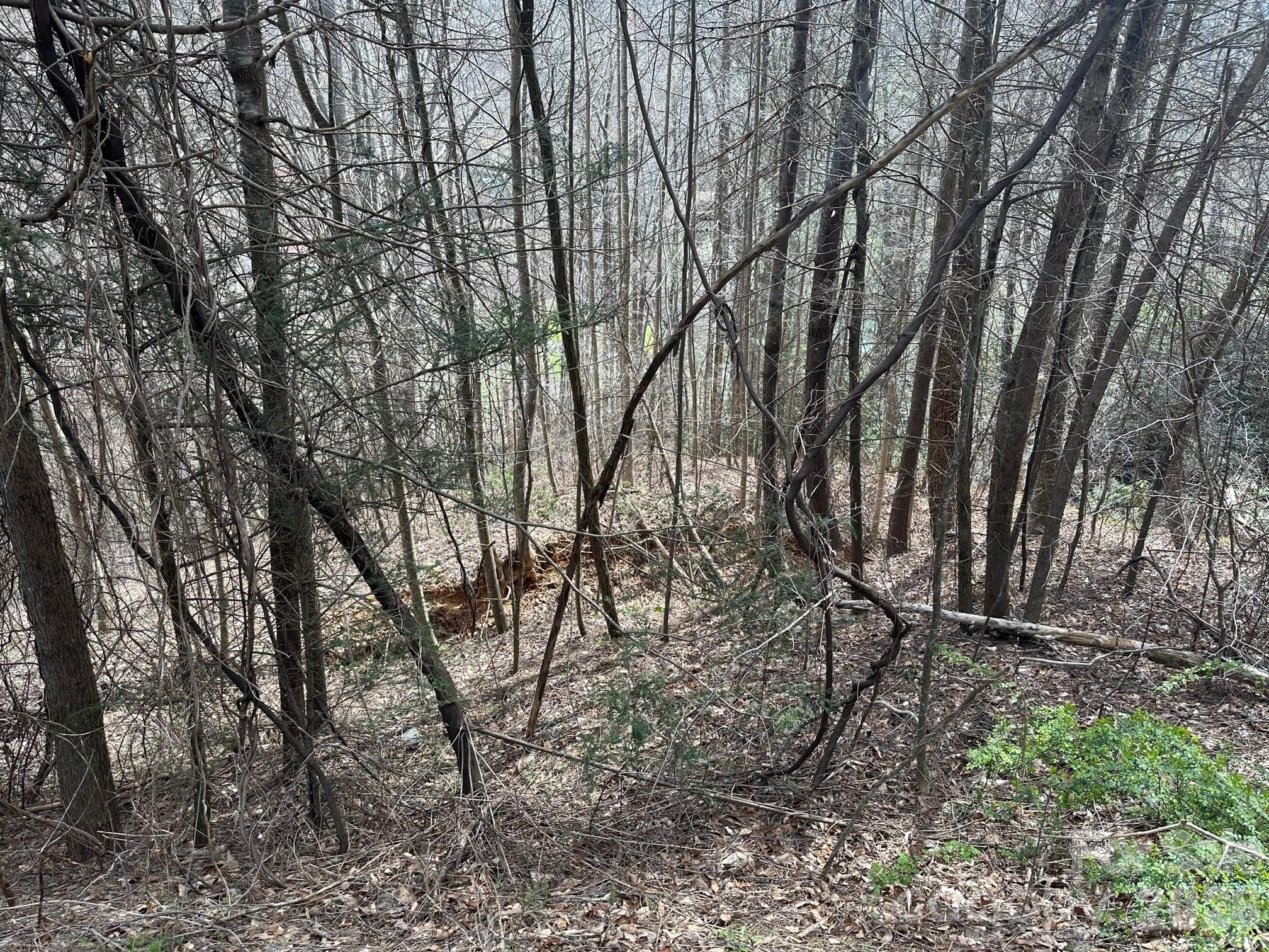 0 Tuckaway Ridge Drive