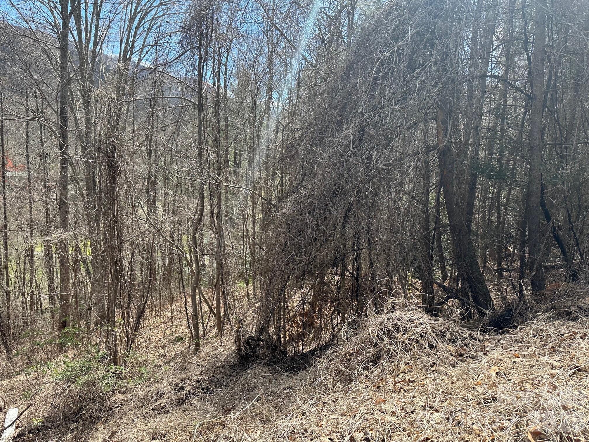 0 Tuckaway Ridge Drive