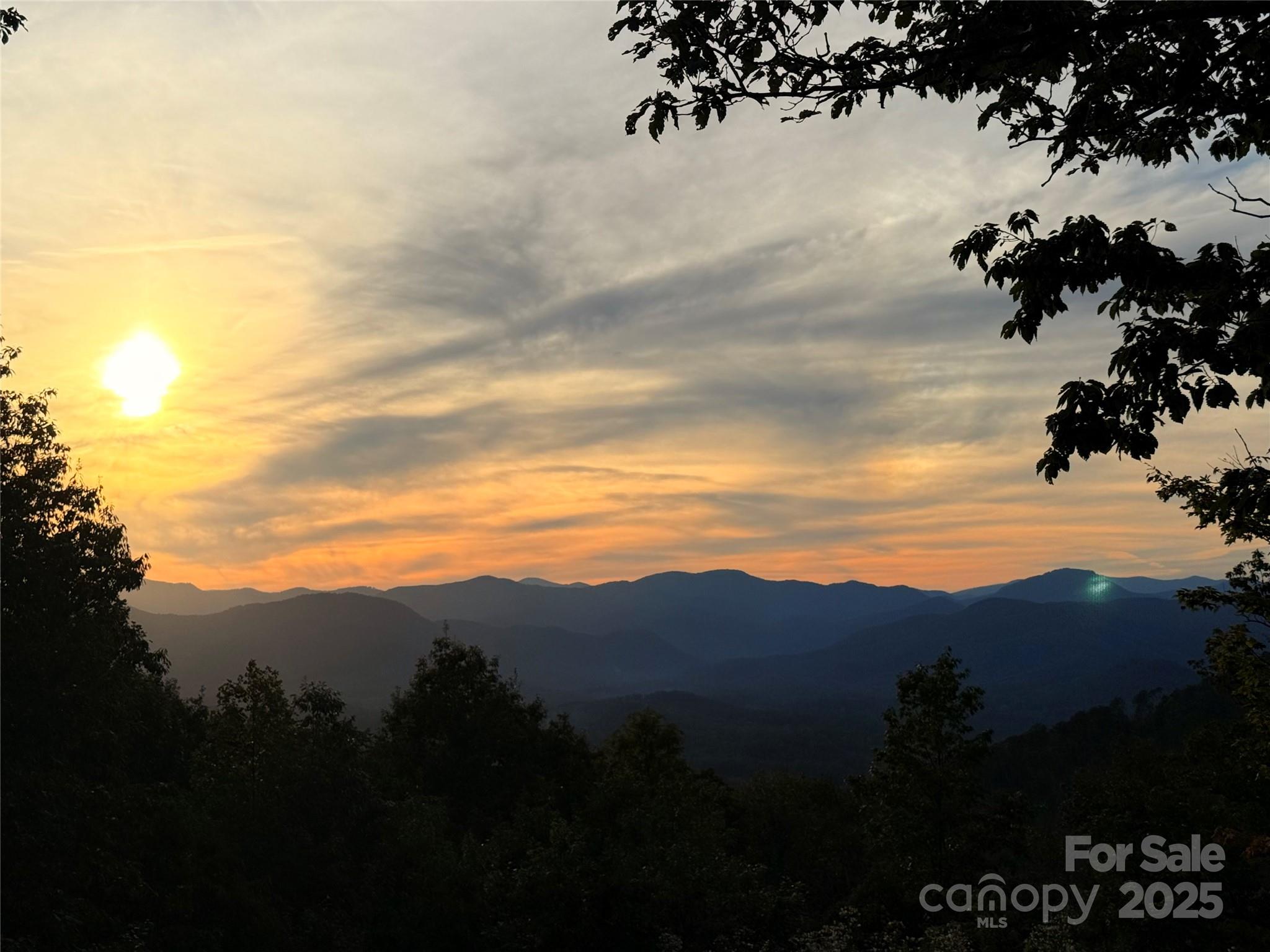 New Forest Mountain - Land