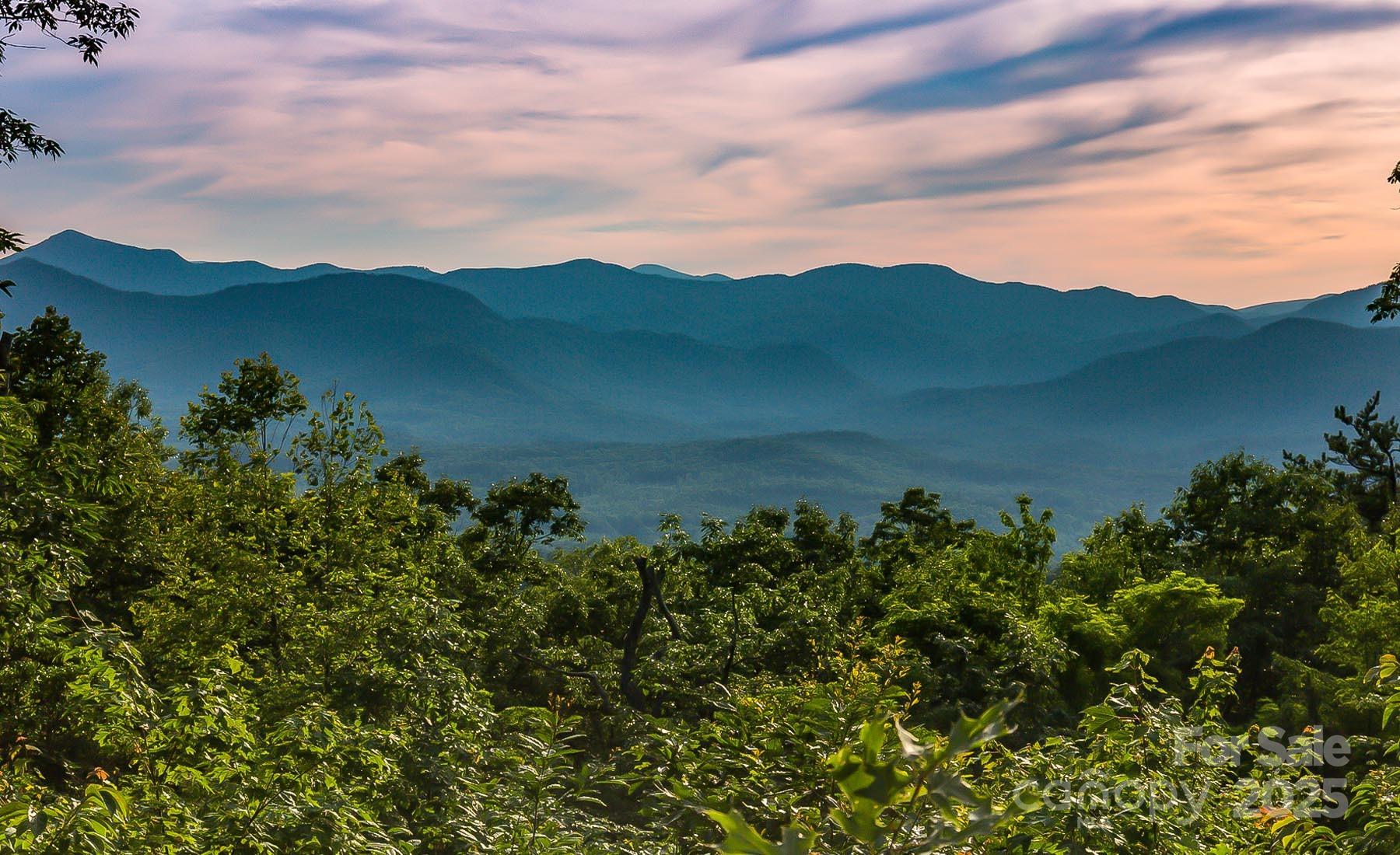 New Forest Mountain - Land